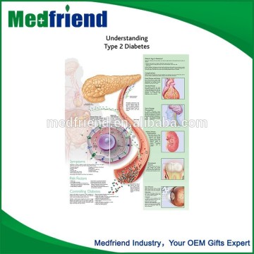 Wholesale From China Understanding Type 2 Diabetes Chart