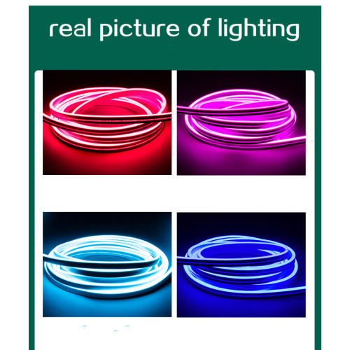 IP67 Waterproof Colorful Flex Neon Light Led Strip Light For wall Decoration