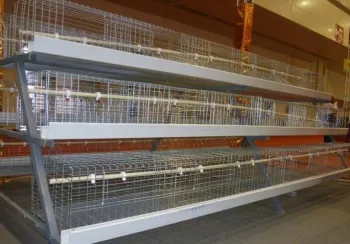 chicken cage
