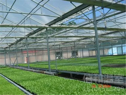IRON CROWN FRP SUNLIGHT SHEET