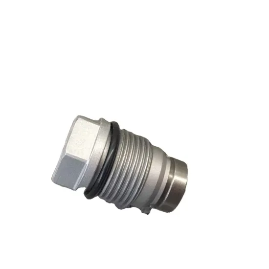 Fuel Rail Pressure Relief Valve 4938005 1110010013