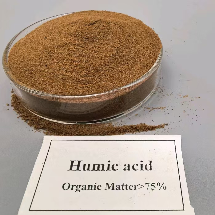 humic acid Powder - Biostimulant