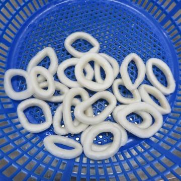 Frozen Gigas squid ring size 3-8cm
