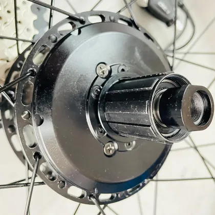 Brushless 48V Electric Bike Kit with 500W Mahle Hub Motor