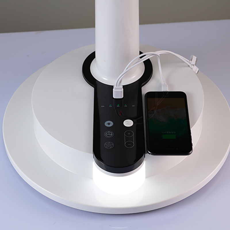Rechargeable Standing Fan Oscillating Floor Fans for Home