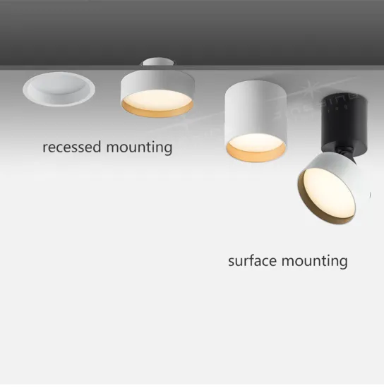 Adjustable LED Downlight Modern Style