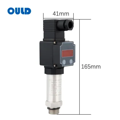 OEM Pressure Measuring Instruments: 4-20mA Water Pressure Sensor & IP68 Pressure Transmitter