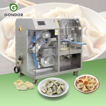 Macchina di produzione di gnocchi automatici e gyoza per impianto Russia TD