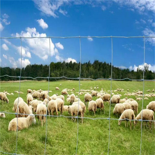 Clôture de champ de ferme de bétail en vrac galvanisée en gros pas cher