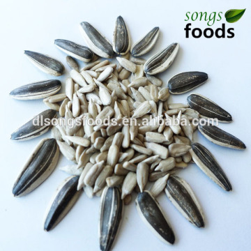 Confectionary Sunflower, Confectionary Sunflower Seeds