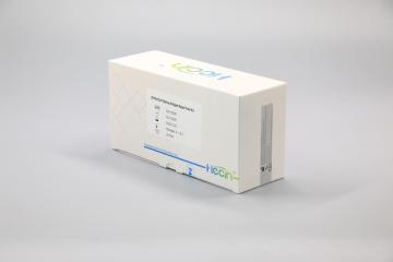 2019 NCOV Saliva Astigen Rapid Test Kit