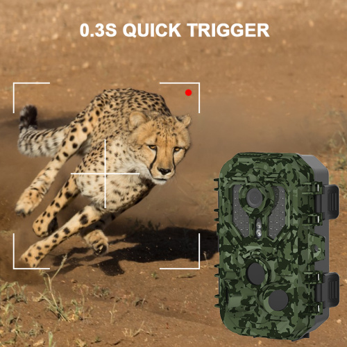 24MP 2,7K HD IP65 Infrarot Hunting Trail Trap H1 Wireless Kamera für Nachtsicht Wireless Wildlife Kamera