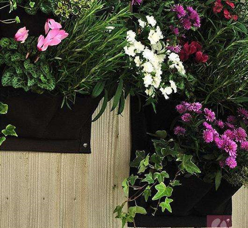 Wall hanging plant pockets