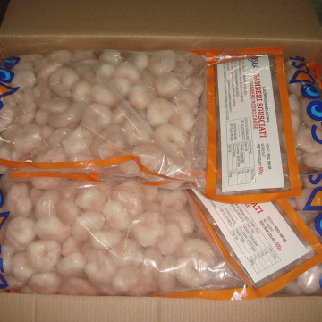 Pure Quality Frozen Norway Red Shrimp (seafood) Available In Bulk Stock At Best Price