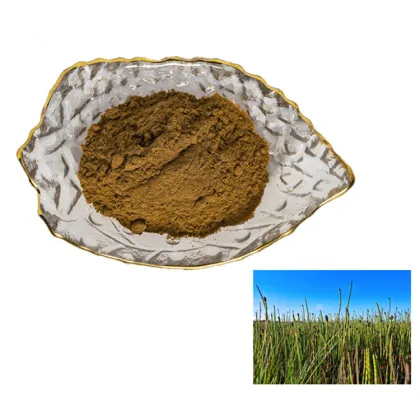 factory suppy high quality common scouring rush herb P.E./common scouring rush herb extract powder