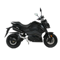 Sport Caricabatterie a bordo Drive Mid Drive Motociclo elettrico