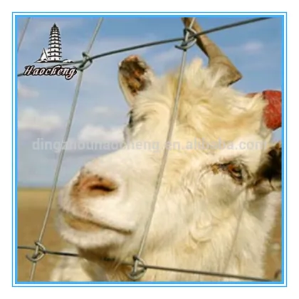 China used hot dipped grassland fence machine