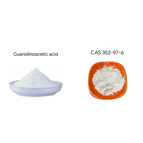 Guanidineacetic acid GAA Powder Feed Grade CAS 352-97-6