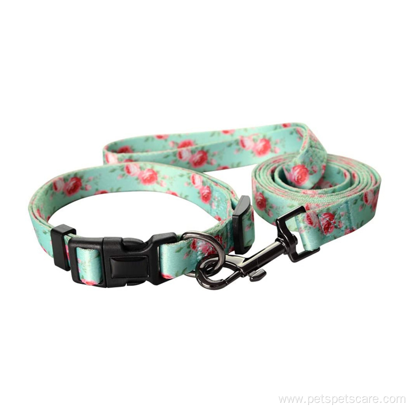 Dog Accesories Ajustable Dog Collar And Leash Set