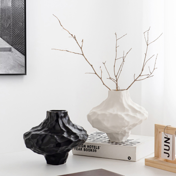 Nordic Ceramic Vase for Hydroponics and Home Decor