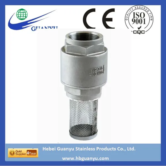 2pc 2pc stainless steel spring vertical loaded check valve with filter