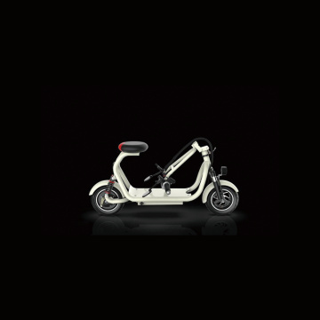 2 seat electric bicycle 48v 13ah electric bike