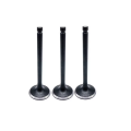 Heavy Duty Exhaust Valve