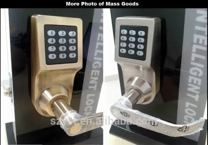 wireless remote control passport smart door lock