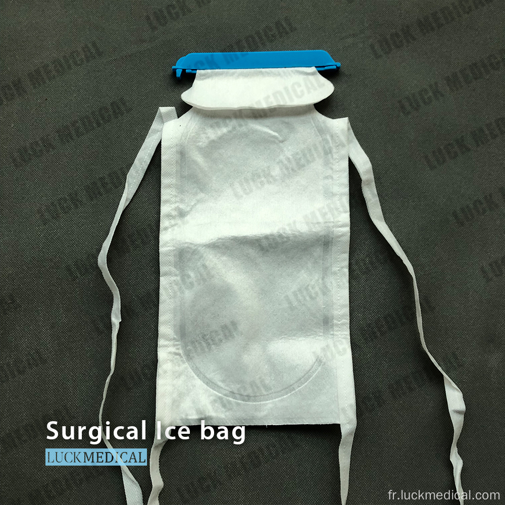 Sac à glace rechargeable avec pince