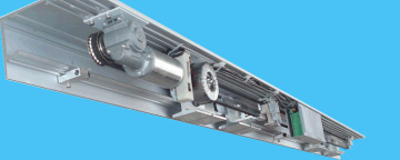 Low Price Automatic Door with Remote (DS200)