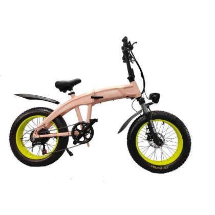 Dual motor snow electric bike