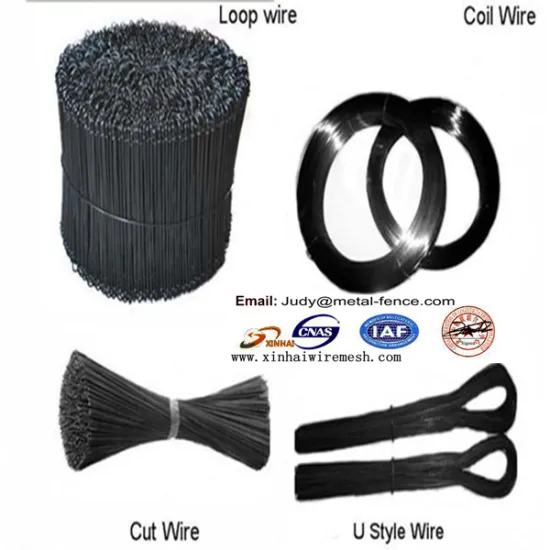 electro galvanized iron wire/binding wire /Soft wire