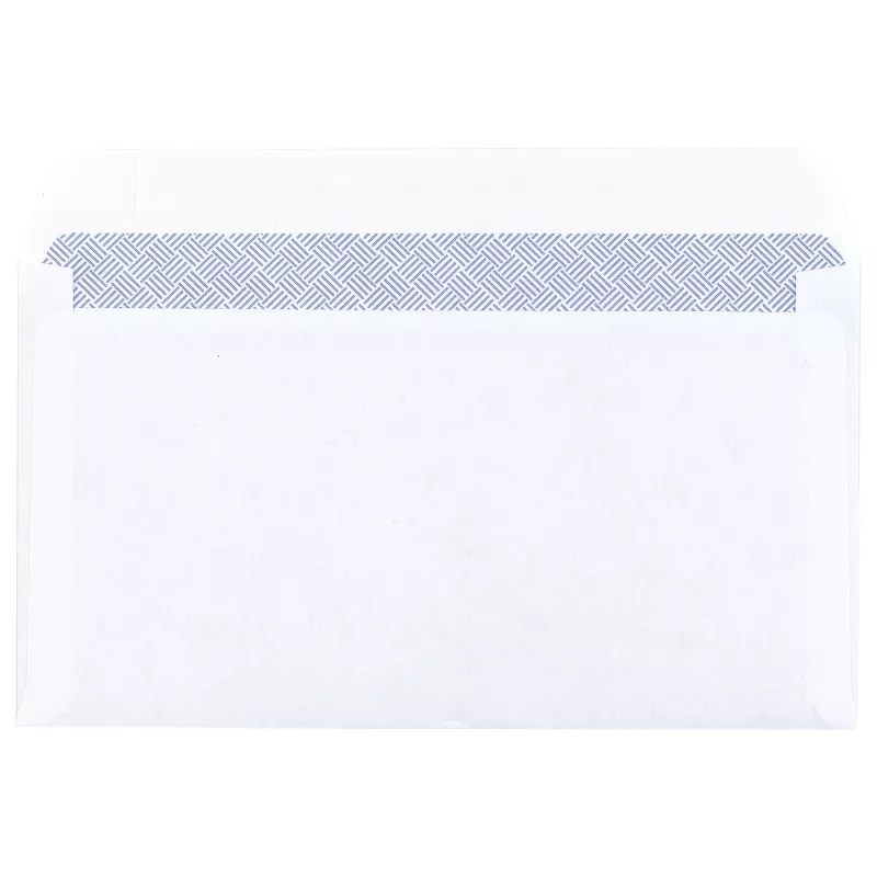 Custom Envelope Courier