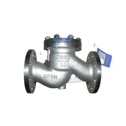 High Pressure Check Valve for Petrochemical Plants: Sizes 6inch PN150, PN300, PN600