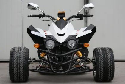 3 Wheel Racing ATV/Quad
