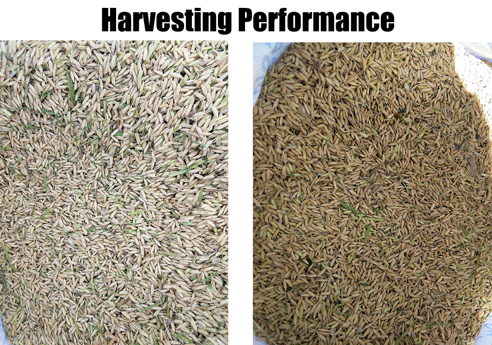 rice harvesting performance