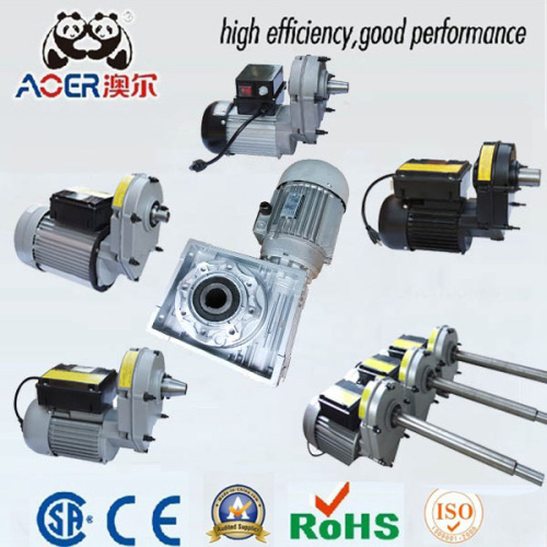 AC Single Phase Asynchronous Concrete Mixer Motor in China