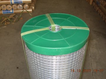 Electro Galvanized Iron Welded Wire Mesh Fence (anjia-822)