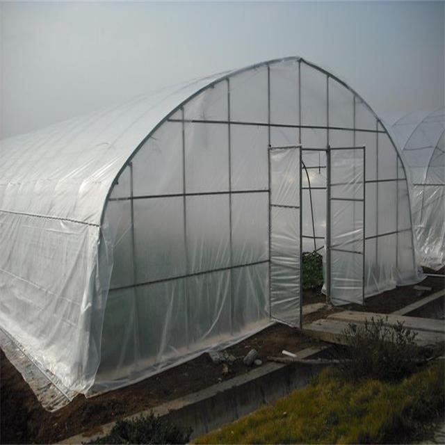 Skyplant Hot Sale Agriculture Plastic Film Greenhouse