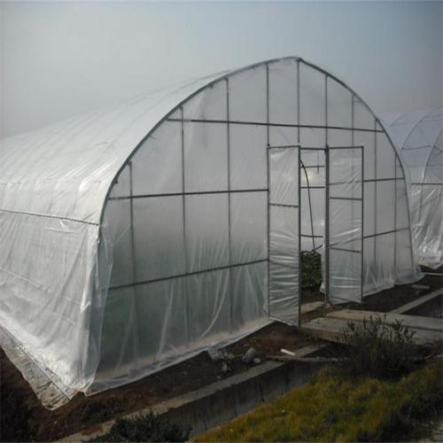 Multi Span plastic tunnel greenhouse with cooling system