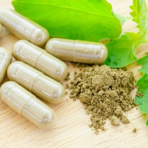 Chanca piedra extract supply