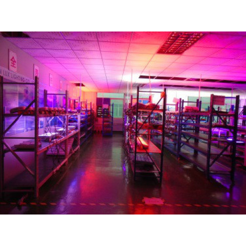 นวัตกรรมซัง LED Grow Light สำหรับการปลูกพืช