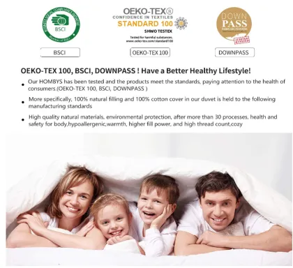 Luxurious White Goose Down Travel Comforter