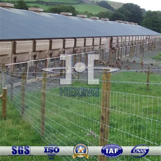 Galvanized Cattle Fence/Grassland Fence For Sale