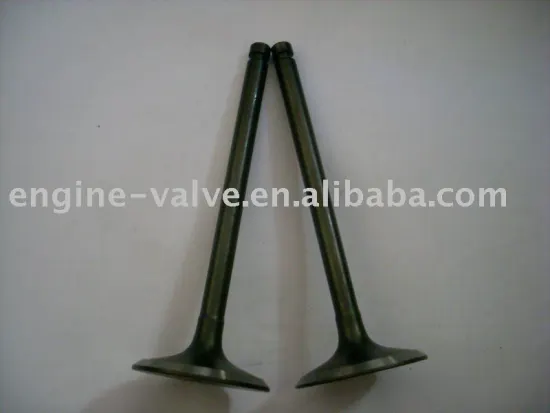 inlet & exhaust valve