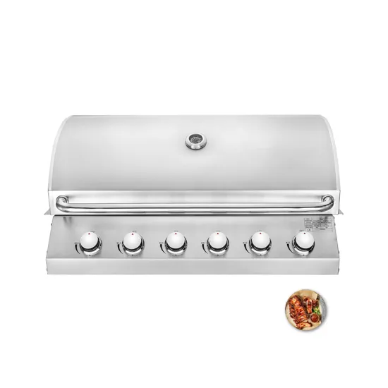 Wholesale 6 Burner Stainless Steel Built In Gas BBQ Grills Gas BBQ Grill Outdoor