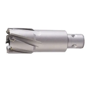 Drill Bit with Improved Performance of Ships Removal and Fein Quick-in Shank