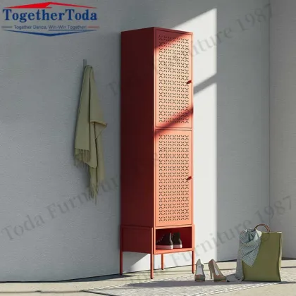Modern Double layer rack storage shoe cabinet