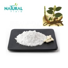 Natural Polygonum cuspidatum extract Resveratrol Powder 50%