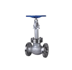 Cryogenic Flanged Globe Valve